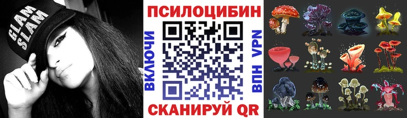 Галлюциногенные грибы прущие грибы  Купить закладки  Северобайкальск 